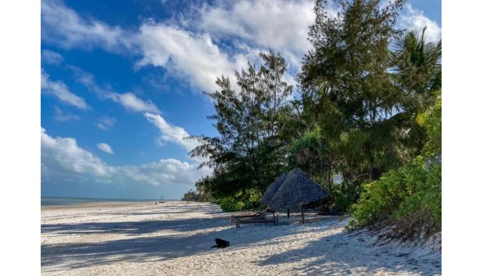 Hotel Bellevue Zanzibar poza 8