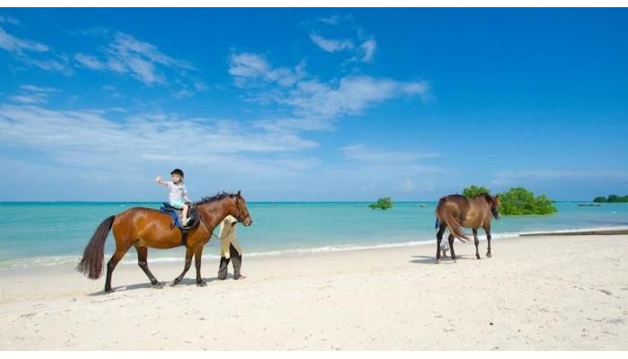 Sea Cliff Resort & Spa poza 23